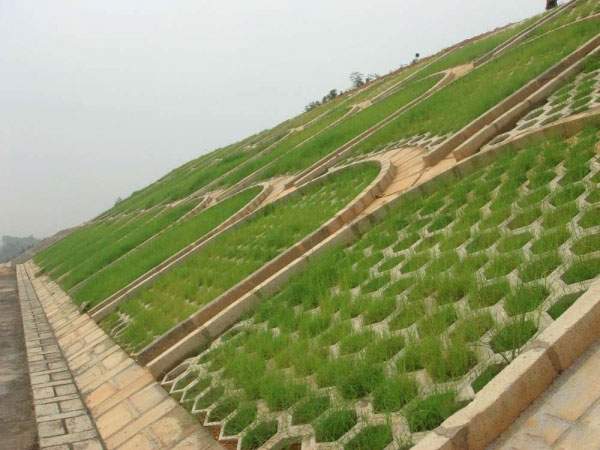 護(hù)坡綠化工程種植草坪 護(hù)坡綠化工程種植草坪