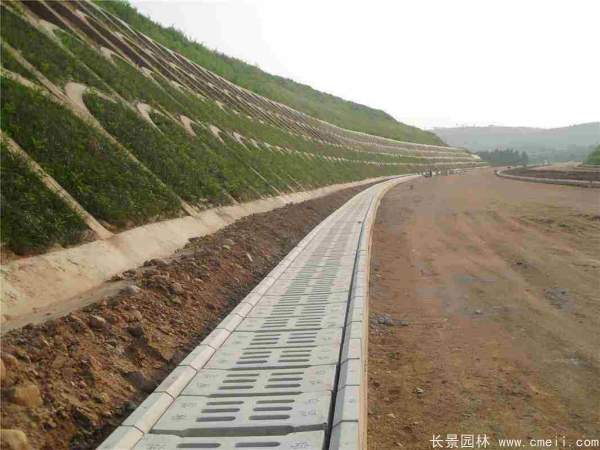 河提邊坡植草護坡綠化圖片