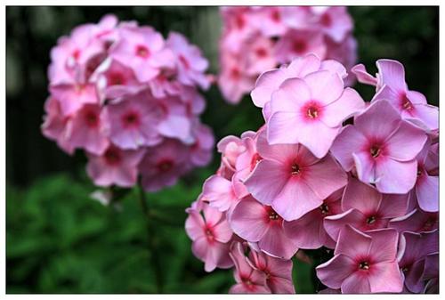 1578830434361451.jpg 1578830434361451.jpg