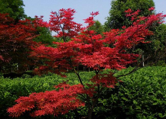 1637419898472284.jpg 1637419898472284.jpg