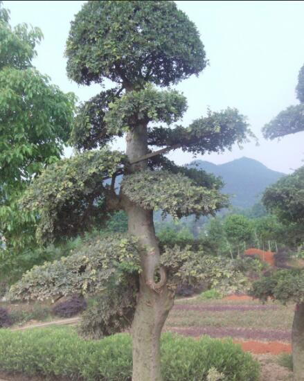 1648545568175927.jpg 1648545568175927.jpg