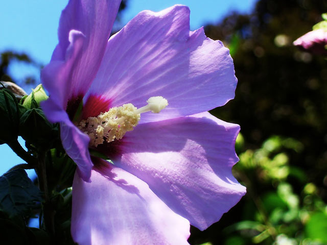 1650637769490175.jpg 1650637769490175.jpg