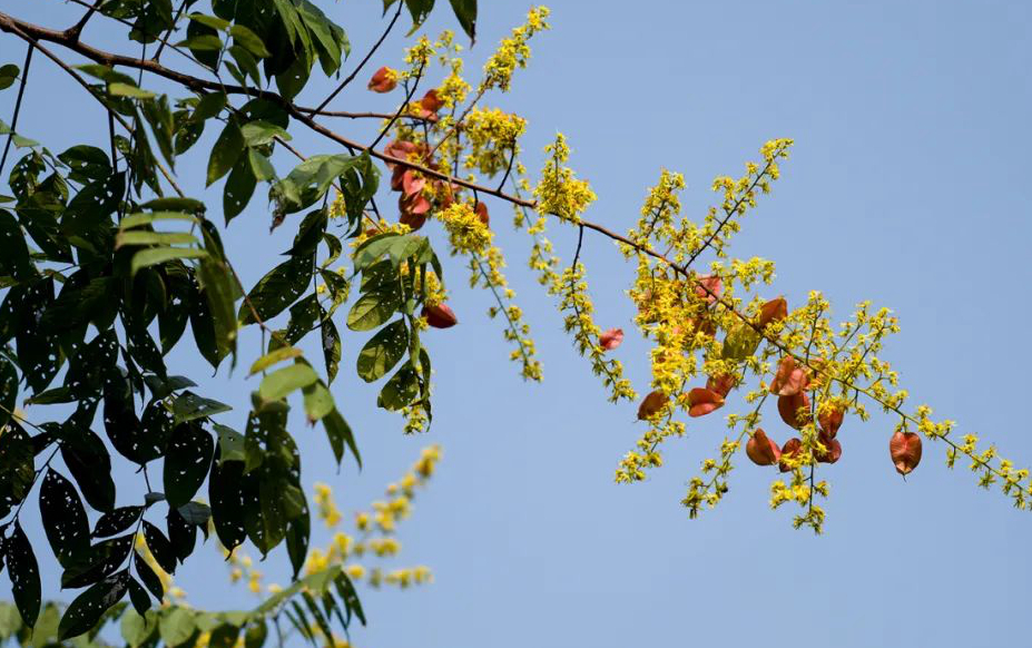 1673452642855181.jpg 微信圖片_20230107200541.jpg