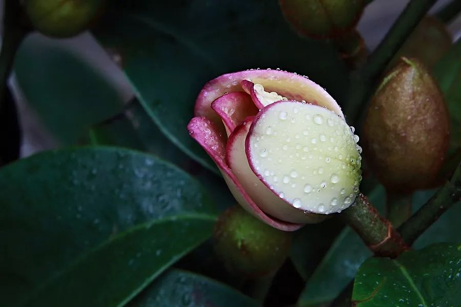 1673452759423809.jpg 微信圖片_20230111235838.jpg