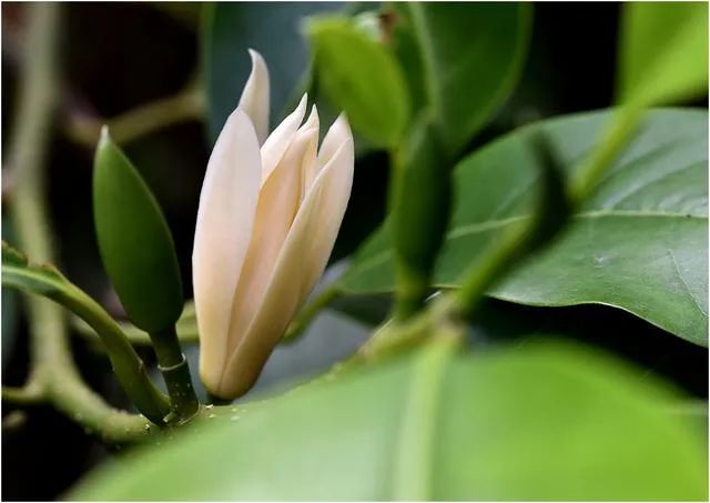 1673452900333908.jpg 微信圖片_20230112000111.jpg