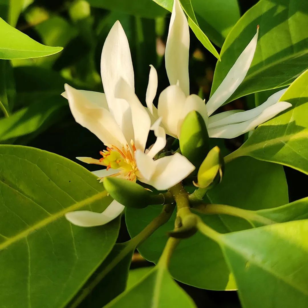 1673452918475951.jpg 微信圖片_20230112000053.jpg