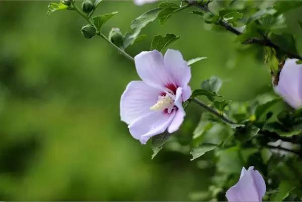 1675196562301855.jpg 微信圖片_20230108112404.jpg