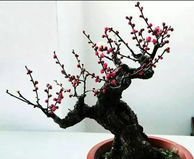 1676583650599538.jpg 微信圖片_20221120163418.jpg