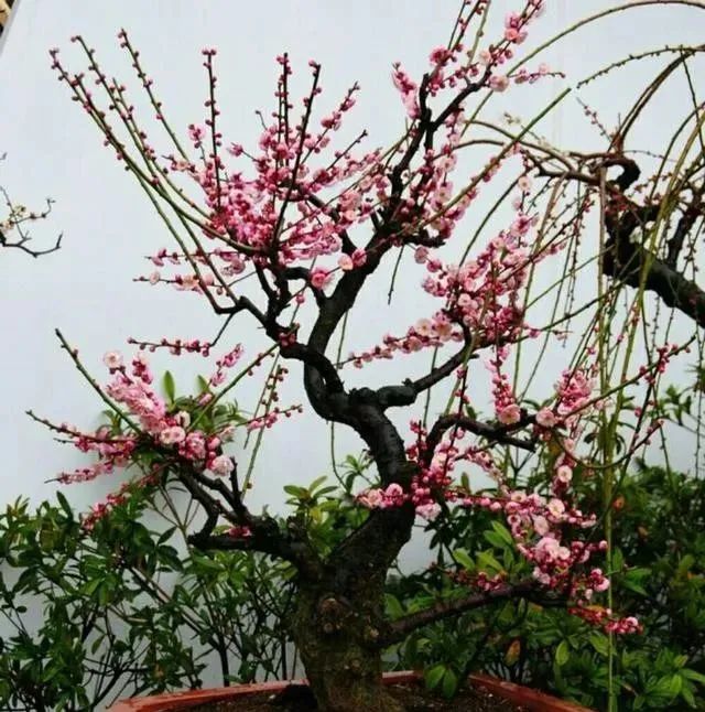 1676583656250167.jpg 微信圖片_20221120163422.jpg