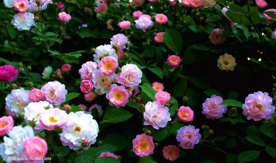 1676675461679011.jpg 微信圖片_20230108112134.jpg