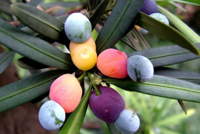 1676893852559151.png 微信圖片_20230220194933.png