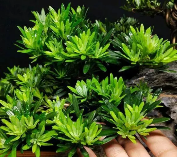 1676893860938168.png 微信圖片_20230220194952.png