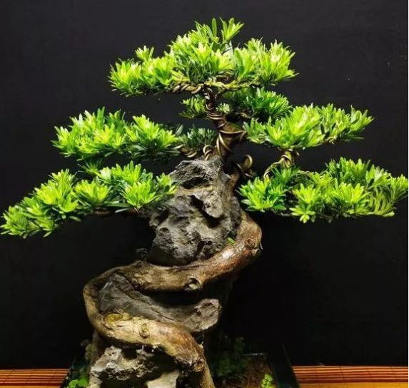 1676893866278278.png 微信圖片_20230220194954.png