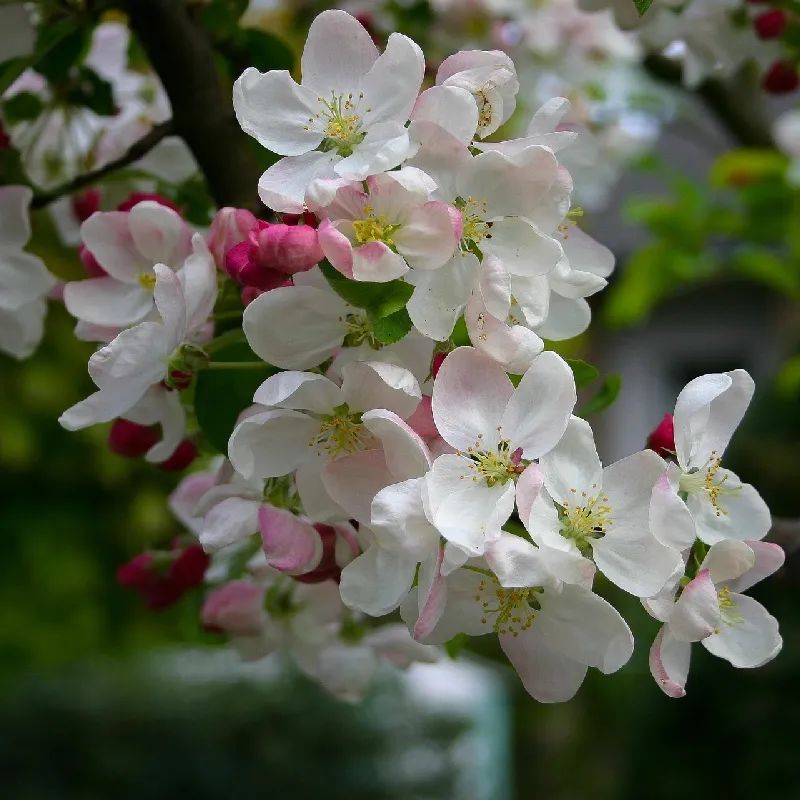 1676898703417371.jpg 微信圖片_20221128204901.jpg