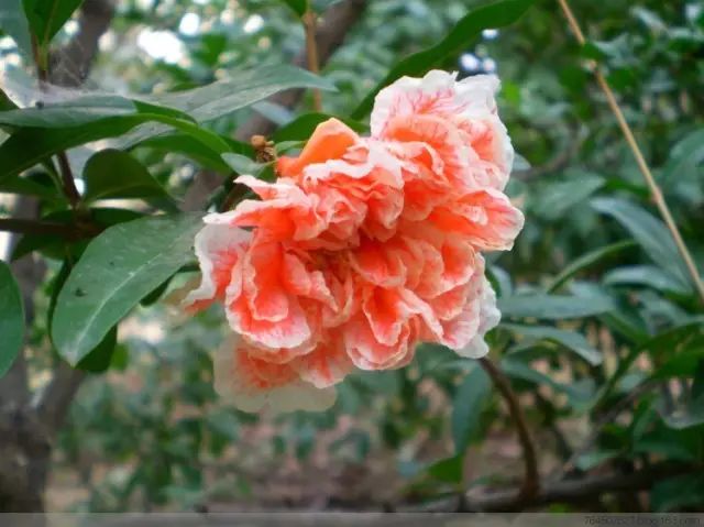 1676898852109600.jpg 微信圖片_20230220211320.jpg