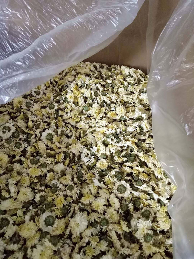 菊花茶有幾種